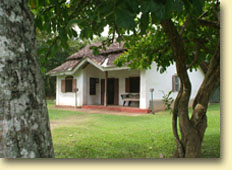 Ancestral Home at the Museum grounds